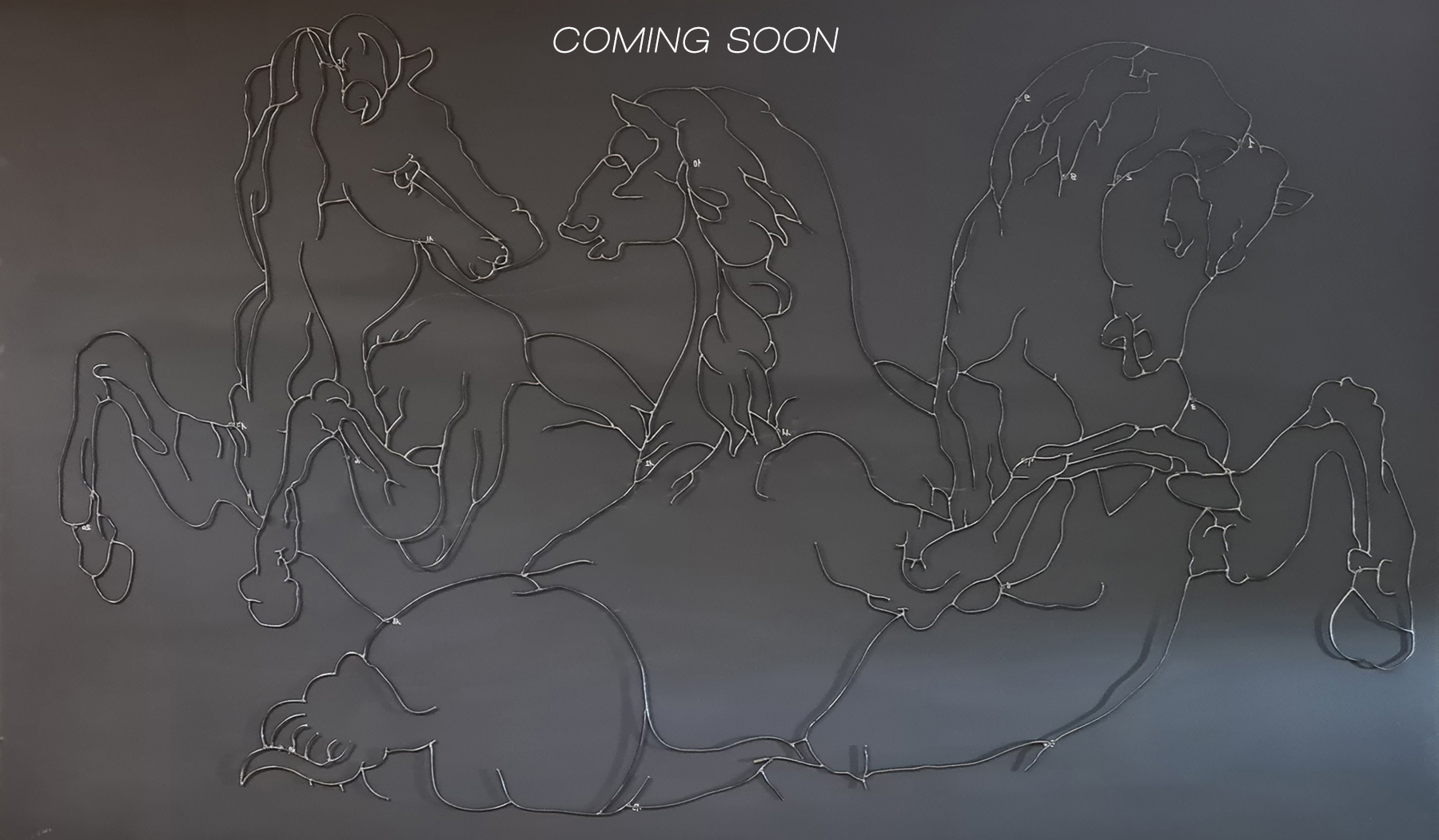 horses